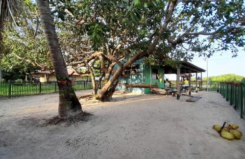 Algodoal Casa Verde - Foto 13