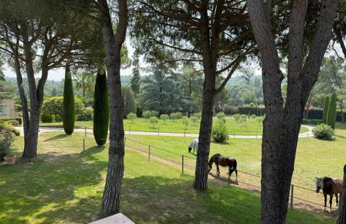 Le Mas Rose - Foto 7