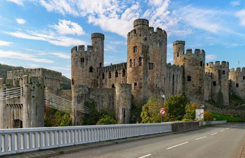 Coed y Felin - Foto 40