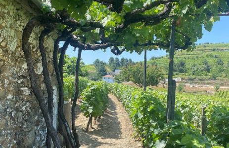 Casa da Costeira - Photo 51