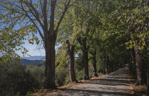 Borgo di Colleoli Resort - Foto 39