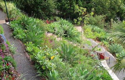 Apartamento Charmoso no Funchal, com grande Jardim e Vista Esplêndida - Foto 23