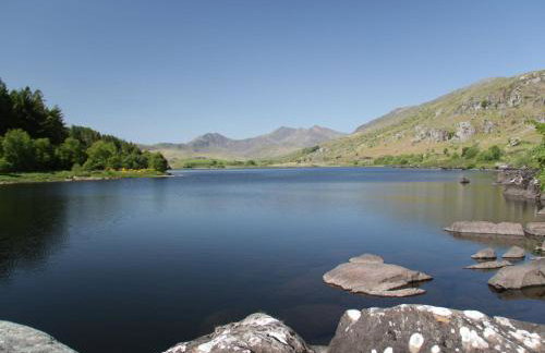 Cwt Mochyn - Foto 31