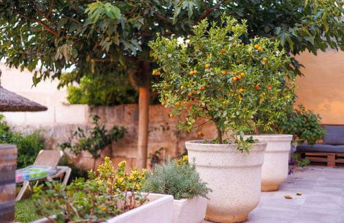 Newly renovated house with pool in Sineu center - Foto 49