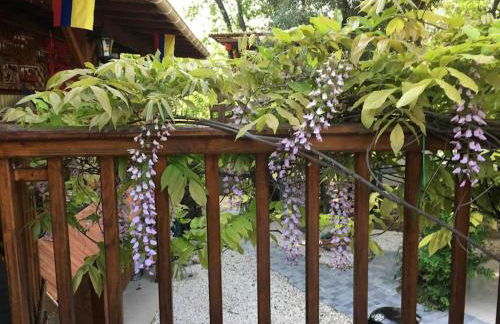 Casacoquelicot Un jardin sud-américain en Provence - Photo 3