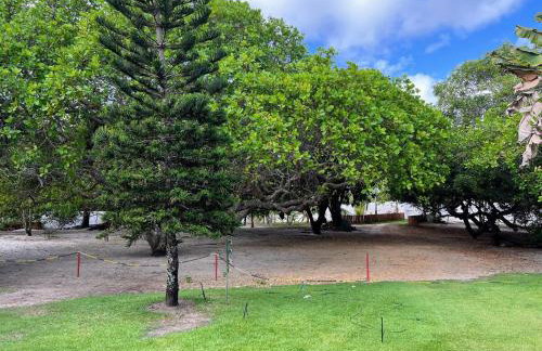 Chácara Adelly - Foto 65