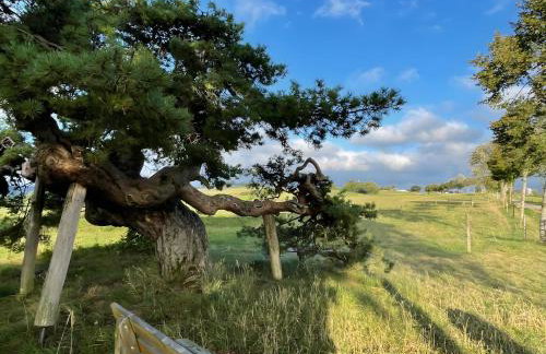 Ferienwohnung Urlaub mit Ausblick - Foto 18