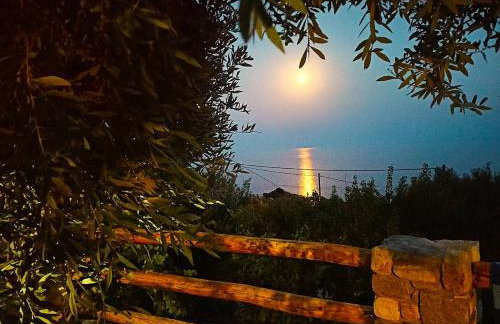 House in endless blue 35 sq m Magganitis Ikaria - Foto 13