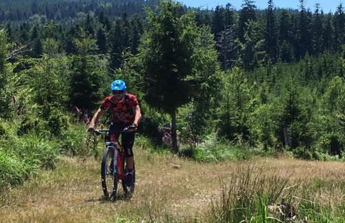 Chalet au bord de l’eau - Foto 15