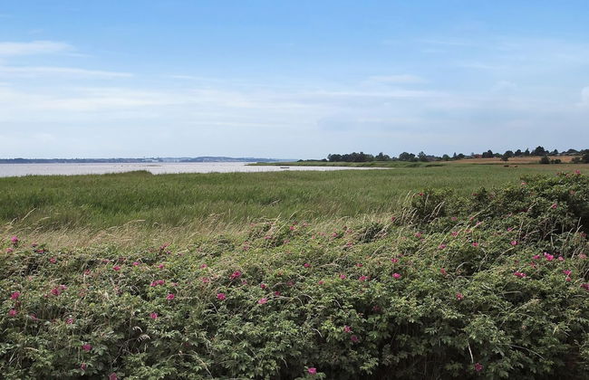 "Jeip" - 400m to the fjord - Foto 14