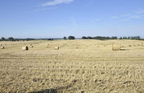 Idyllic Holiday Home in Damshagen with Terrace - Foto 49