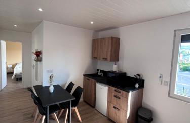 Appartement proche zenith "mizo" - Foto 4