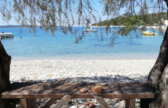 Apartments Dirk - Foto 44