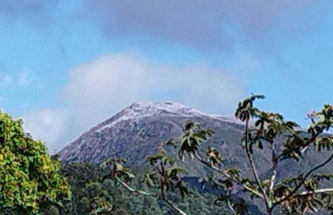 Selvática del Toro - Foto 44