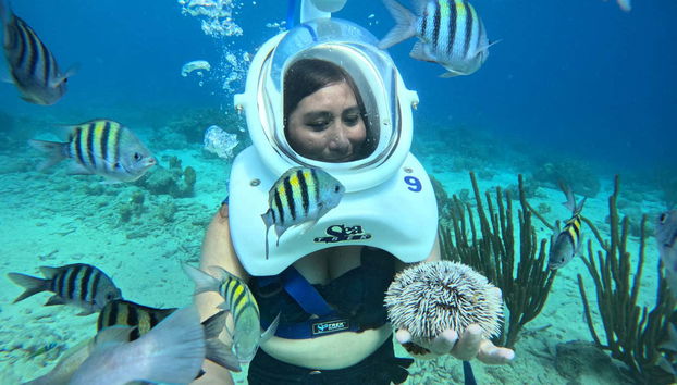 Osservaremo la fauna marina con l'attrezzatura da seawalking