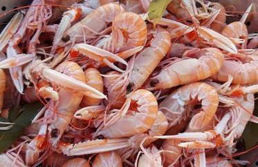 Gîte Cornouaille piscine ou jacuzzi - Foto 29