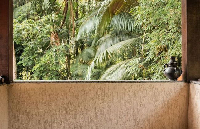 Sitio Cantinho Vovó Cida e Vovô Nilson - Foto 45