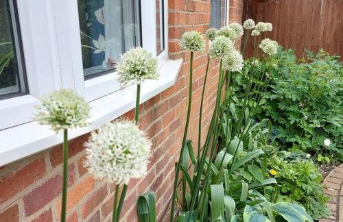 Cheerful, cosy, one bedroom home with patio and parking - Photo 20