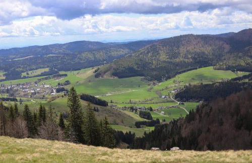 Gemütliches Ferienreihenhaus mit Holzkamin im Schwarzwald - Foto 13