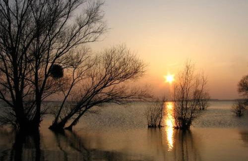 Aux Gîtes d'Orient - Foto 40