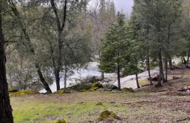 Ponderosa Creekside Retreat - Foto 55