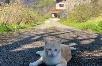 Casa Rural Goikola - Foto 58