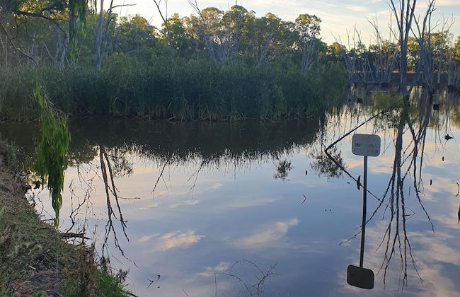 Deniliquin Pioneer Tourist Park - Foto 57