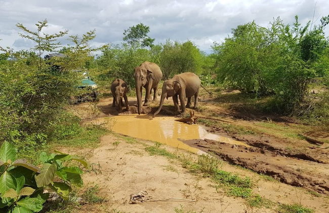 Residence Kuruniyavilla - Photo 77