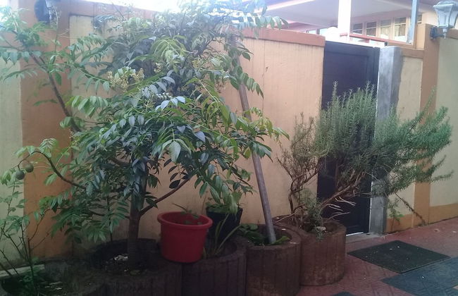 Paradise Resting Home - Photo 34