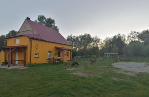 Haus 6 am Fluß - Foto 18