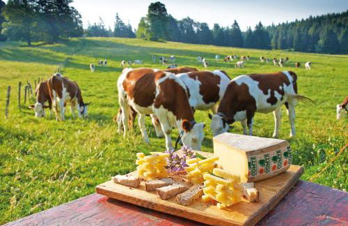 Ô Rives du Doubs - La campagne à la ville - Foto 61