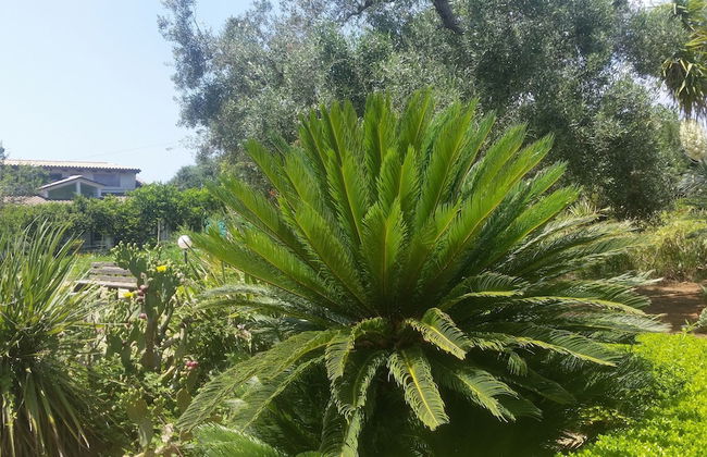 Le Radici Casa Vacanze - Foto 59