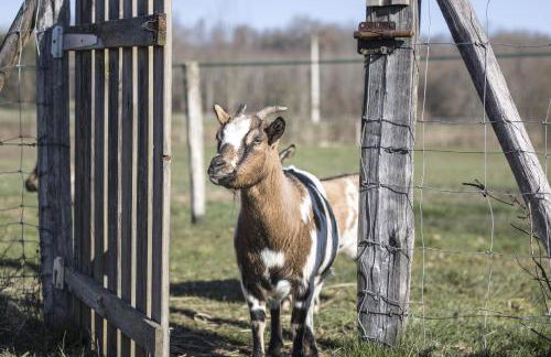 Gite du Moulin de la Peyriere - Foto 18