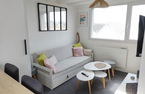 Maison VUE MER 50m PLAGE de TRESTEL GR34 entre Perros Guirec côte de granit rose et l'île de Bréhat - Foto 10