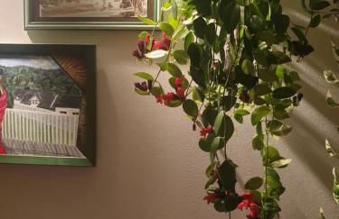 Anastasia's boutique apartment - Foto 6