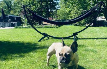 Magnusowe Siedlisko - Foto 16