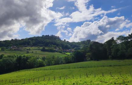 Apartamentos La Soleyera - Foto 24