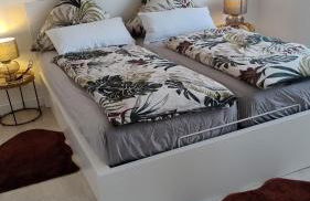 Einliegerwohnung in Höxter - Foto 2