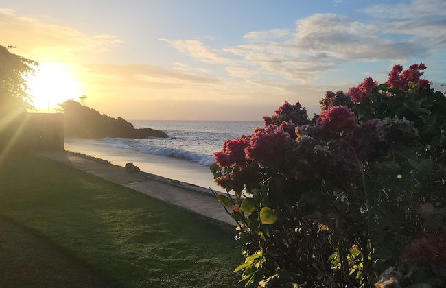 Birdie's Nest - Foto 28