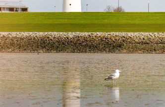 Ferienhaus Wattbrise - Foto 44