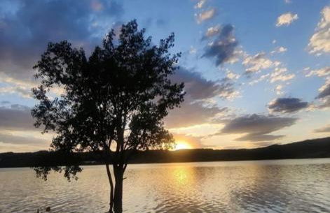 Casas Natura Suites - Finca Rural - Foto 53