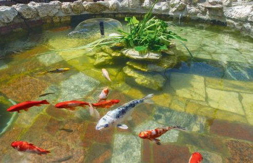 Nice Studio In Omis With House Sea View - Foto 8