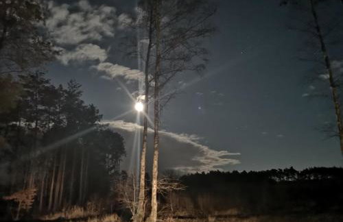 Agroturystyka PLENER - Foto 47