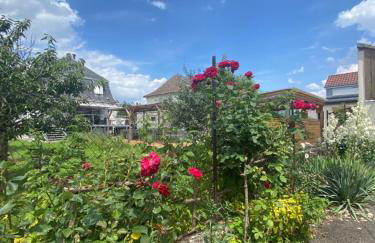 BookingAlsace - Maison Mittelharth Parking Jardin - Foto 48