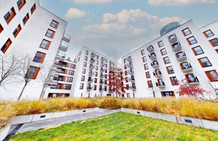 Blackberry Studio With AC Browary Warszawskie - Foto 5