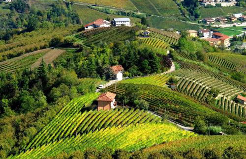 Casa Badinot - Foto 44