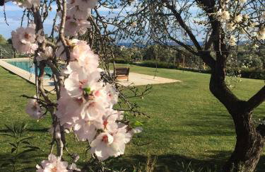 Terre Di Vendicari - Photo 67