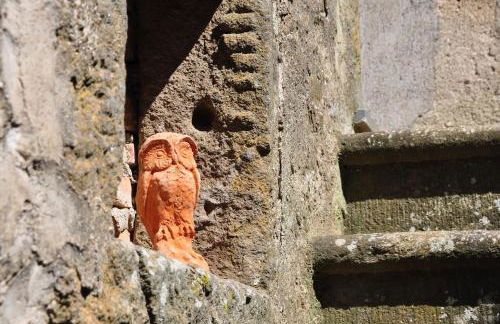 Le civette - Foto 27