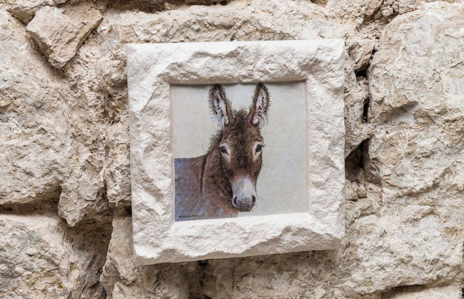 Villa Nives - Photo 19