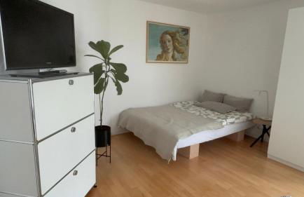 Nature&City - Studio - Photo 2